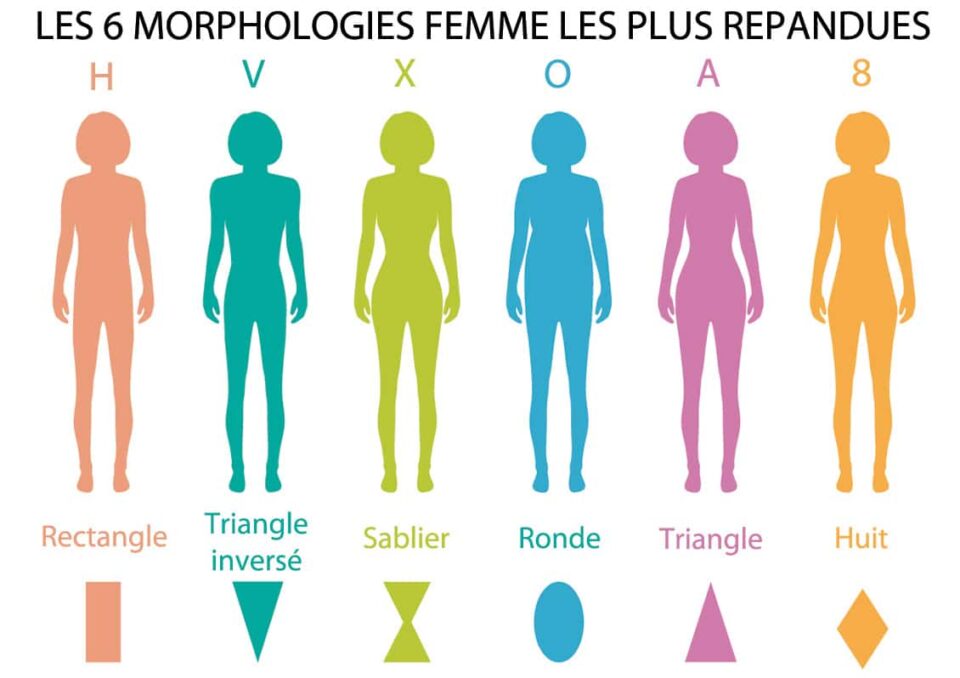 Les Diff Rentes Morphologies F Minines