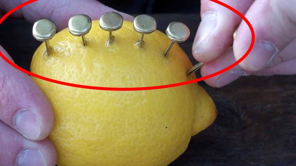 Voici ce qui se passe si vous enfoncez des clous dans un citron